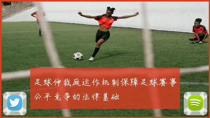 足球仲裁庭运作机制保障足球赛事公平竞争的法律基础
