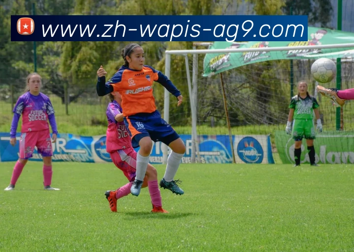 ag9游会服务体系