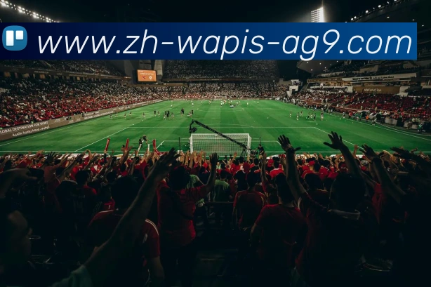 多媒体互动体验